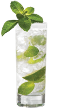 Mojito